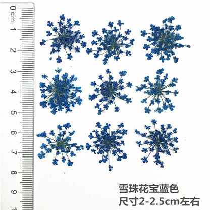 Nail Art Dry Flower Mix Color Mask Queen Nepal