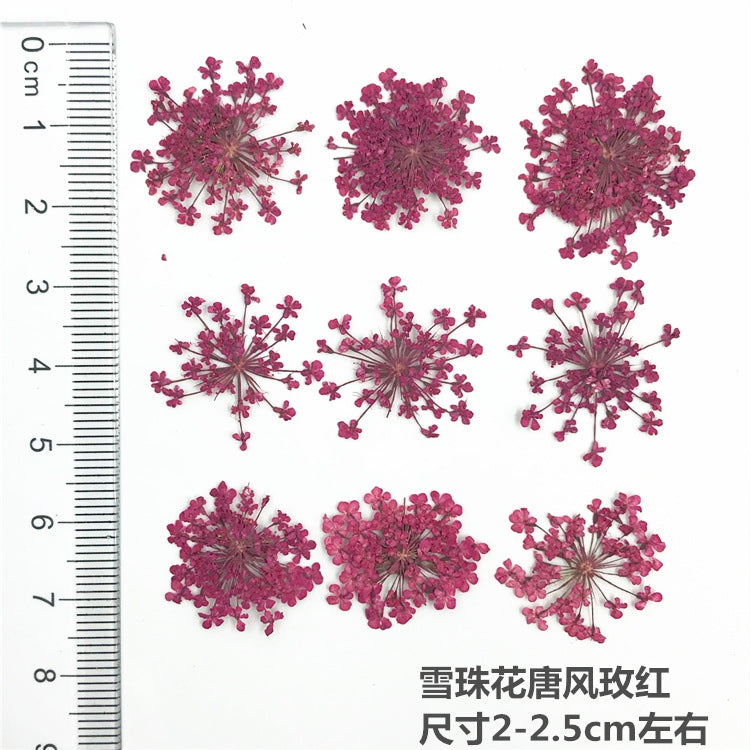 Nail Art Dry Flower Mix Color Mask Queen Nepal