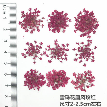 Nail Art Dry Flower Mix Color Mask Queen Nepal