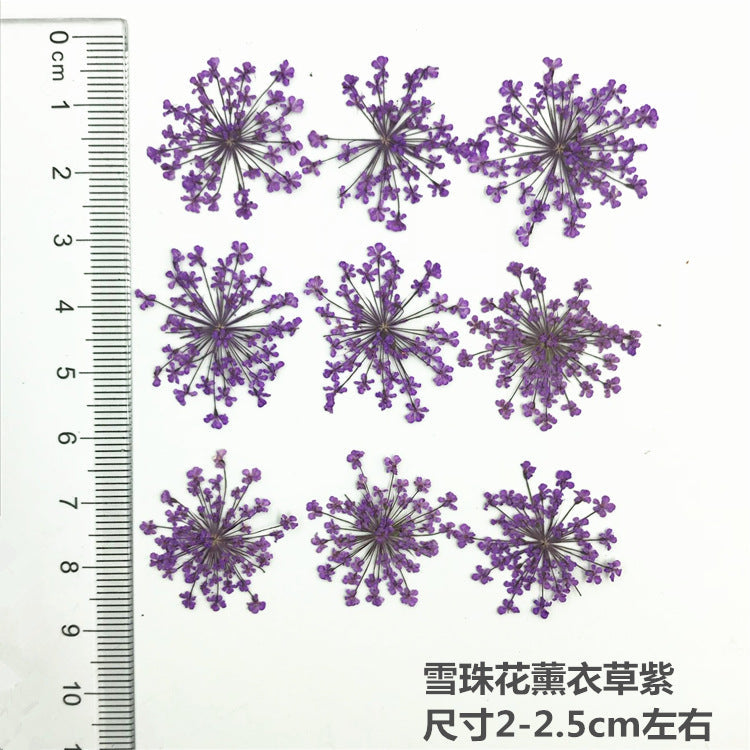 Nail Art Dry Flower Mix Color Mask Queen Nepal