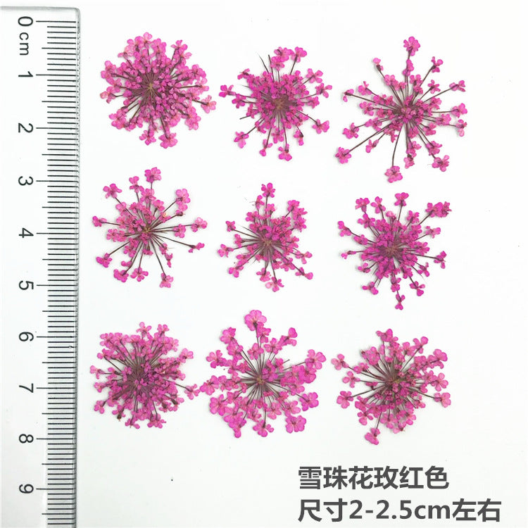 Nail Art Dry Flower Mix Color Mask Queen Nepal