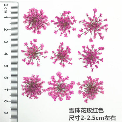 Nail Art Dry Flower Mix Color Mask Queen Nepal