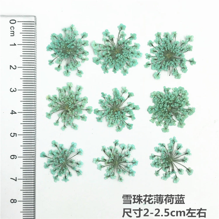 Nail Art Dry Flower Mix Color Mask Queen Nepal