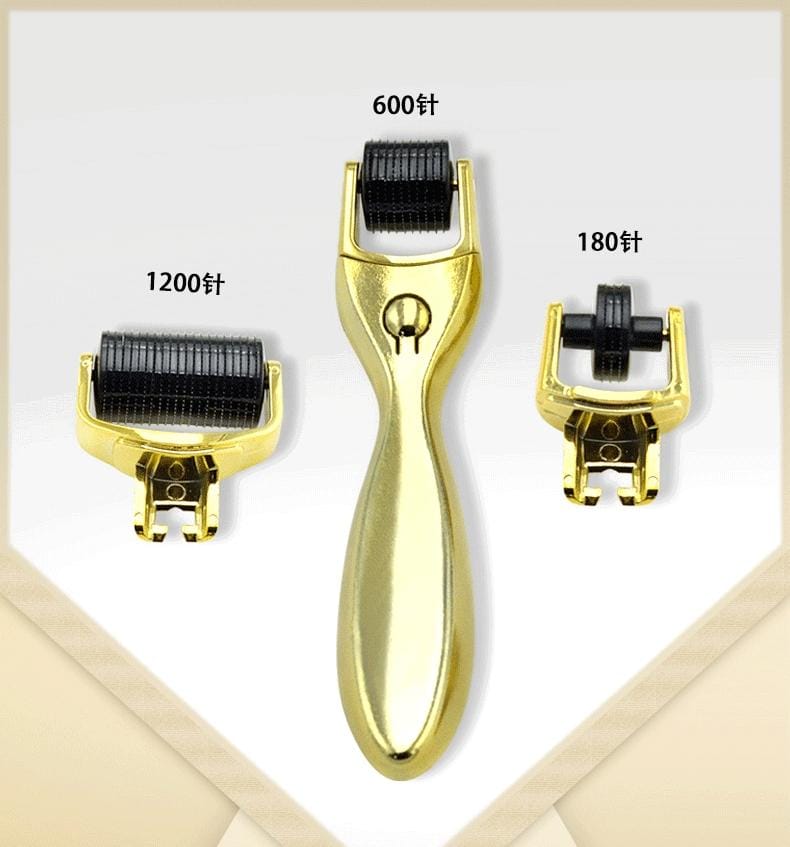 3 in 1 Derma Roller for Face Derma Roller With Titanium Needle Mask Queen Nepal