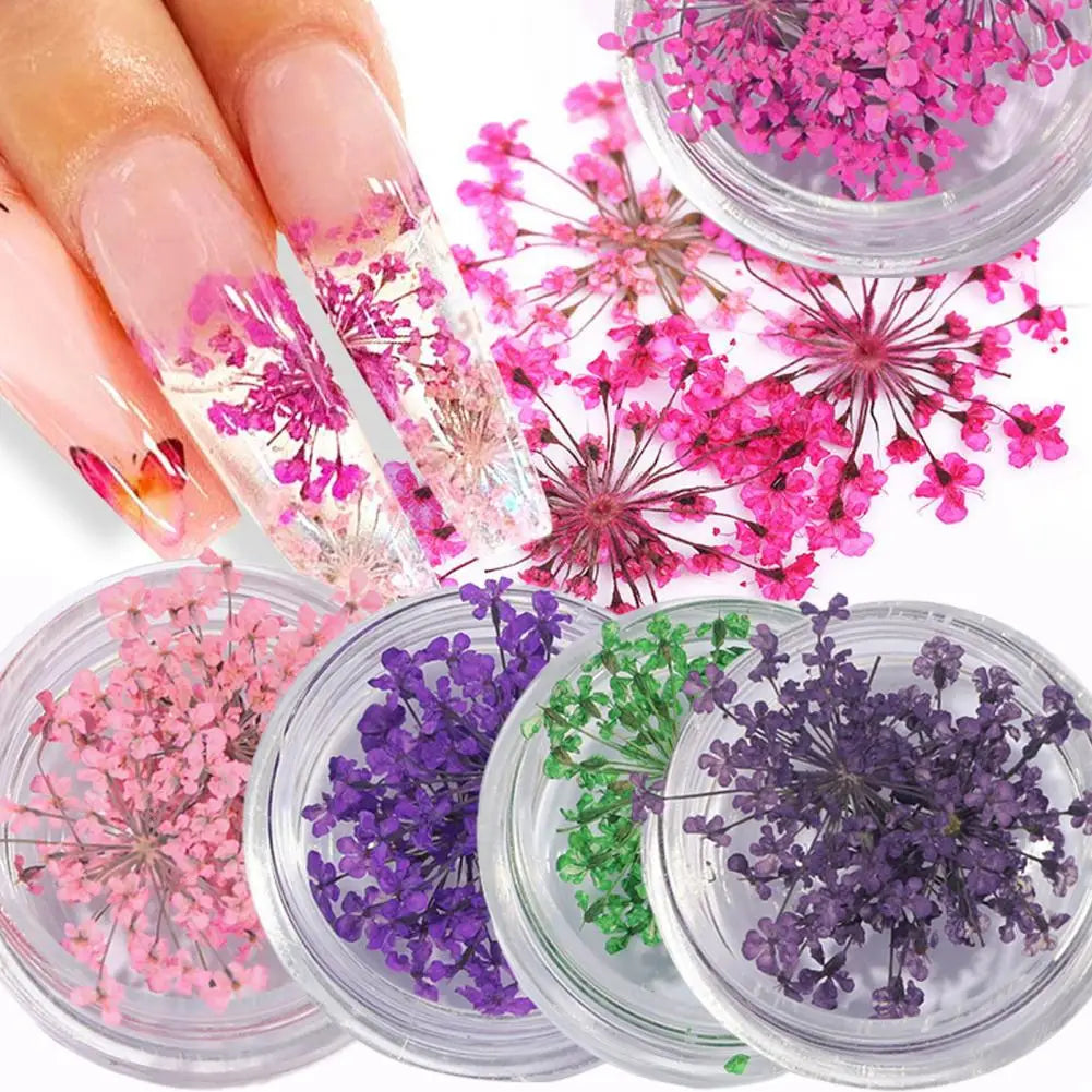 2 Pcs Delicate Dried Flower Nail Art Mask Queen Nepal