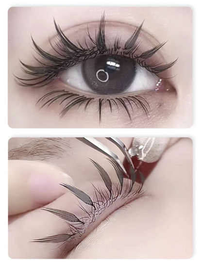 Anime Eyelashes C/D Curl Mask Queen Nepal