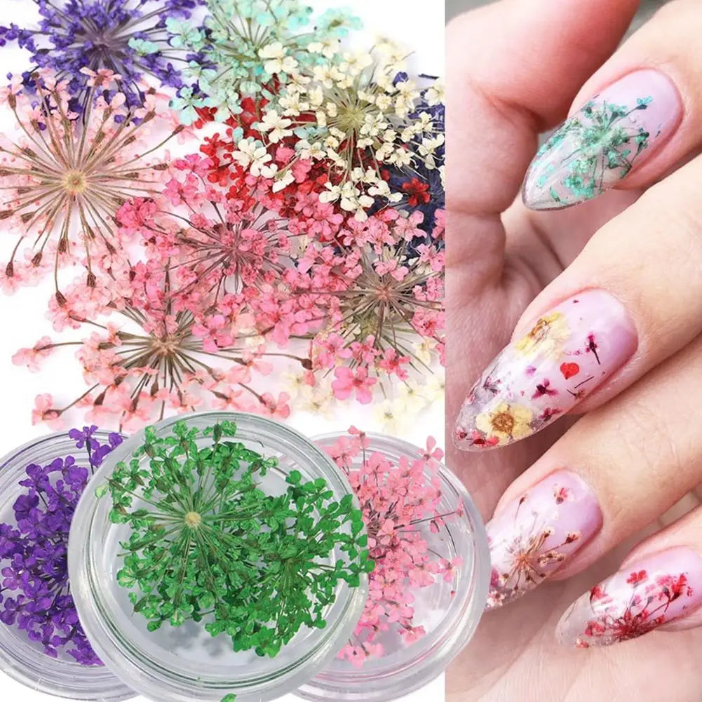 2 Pcs Delicate Dried Flower Nail Art Mask Queen Nepal