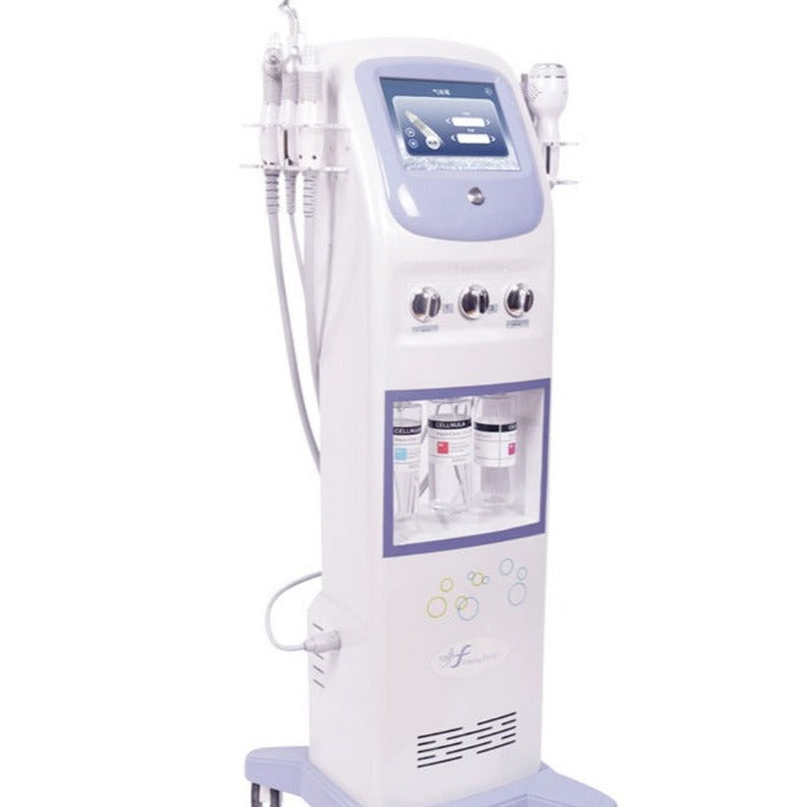 Vertical Hydrafacial Machine Mask Queen Nepal