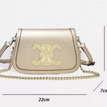 Celine Classique Triomphe Bag Easy Beauty Nepal