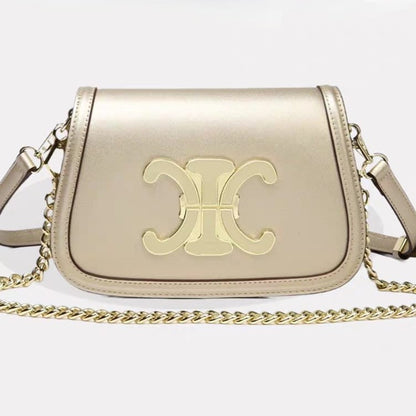 Celine Classique Triomphe Bag Easy Beauty Nepal