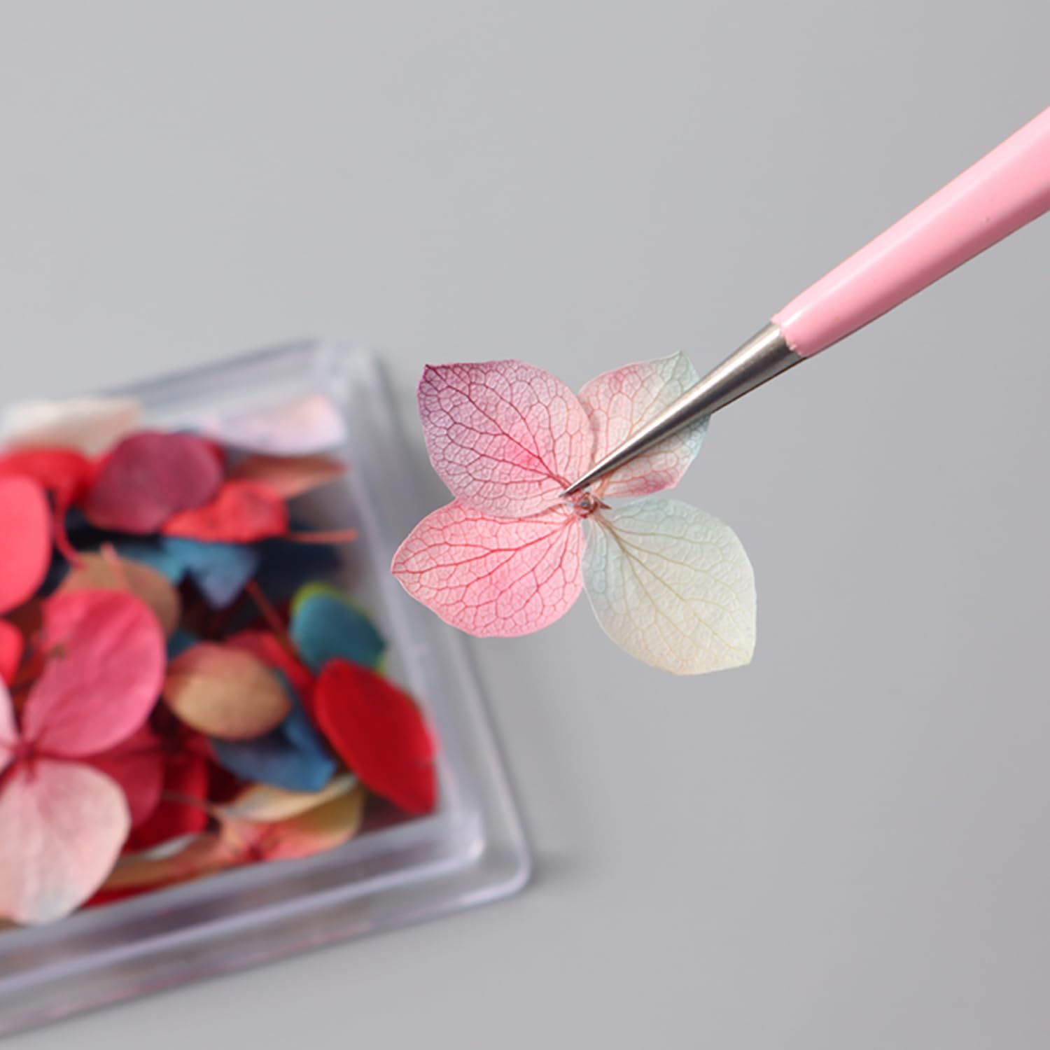 Nail Art Dry Flower Mix Color. Mask Queen Nepal