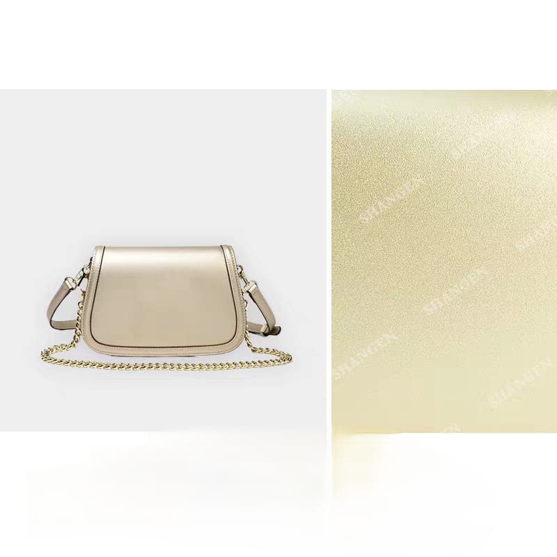 Celine Classique Triomphe Bag Easy Beauty Nepal