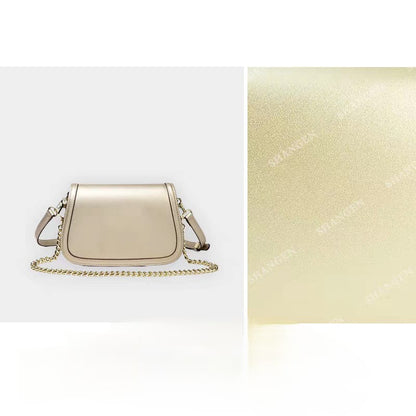 Celine Classique Triomphe Bag Easy Beauty Nepal