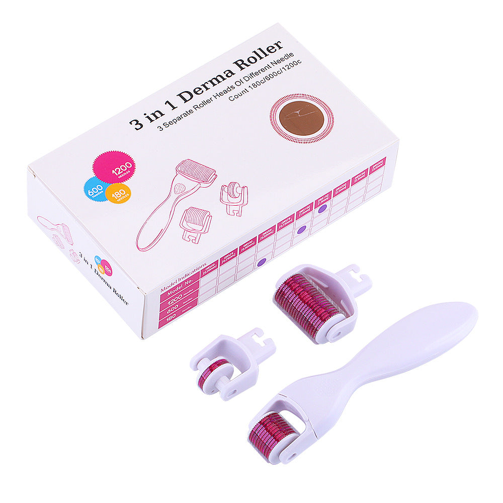 3 in 1 Derma Roller for Face Derma Roller With Titanium Needle Mask Queen Nepal