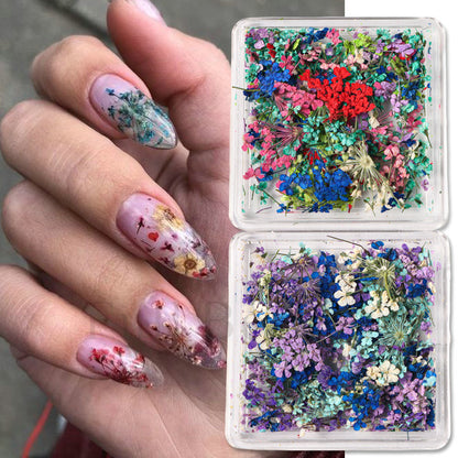 Nail Art Dry Flower Mix Color. Mask Queen Nepal