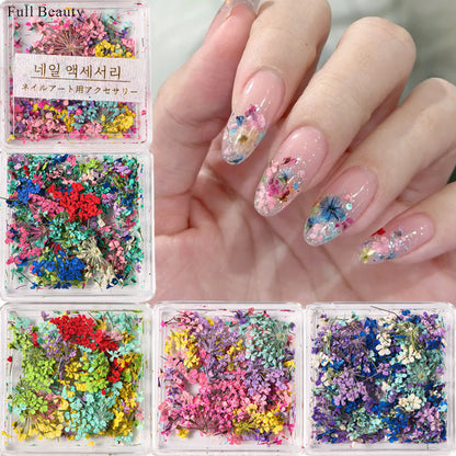 Nail Art Dry Flower Mix Color. Mask Queen Nepal