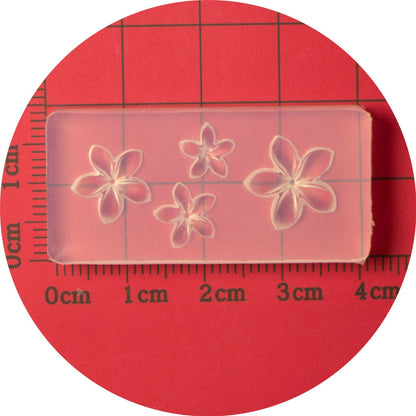 3D Acrylic Powder Sculpture Slicone Mold Mask Queen Nepal