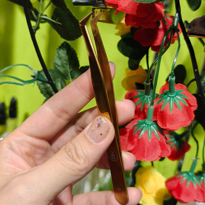 MQ Professional Lashes Tweezer Set A-01/A-02 Mask Queen Nepal