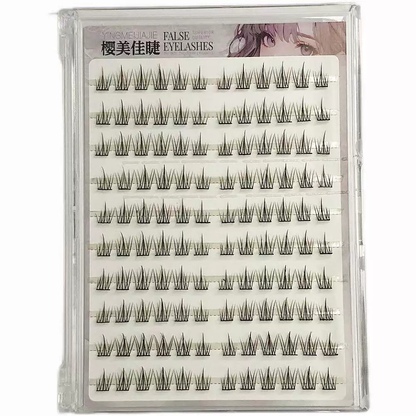 Pre Glued Row Of Sunflower Cluster Lash (ROS) Mask Queen Nepal