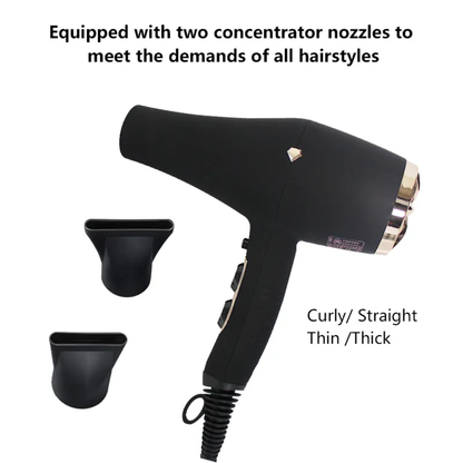 Professional Ionic High-Speed Hair Dryer 2200W Mask Queen Nepal