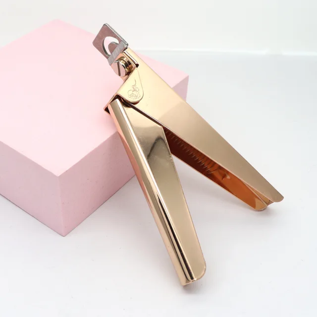 DX022 Luxury Stainless Steel Nail Tip Clipper Mask Queen Nepal