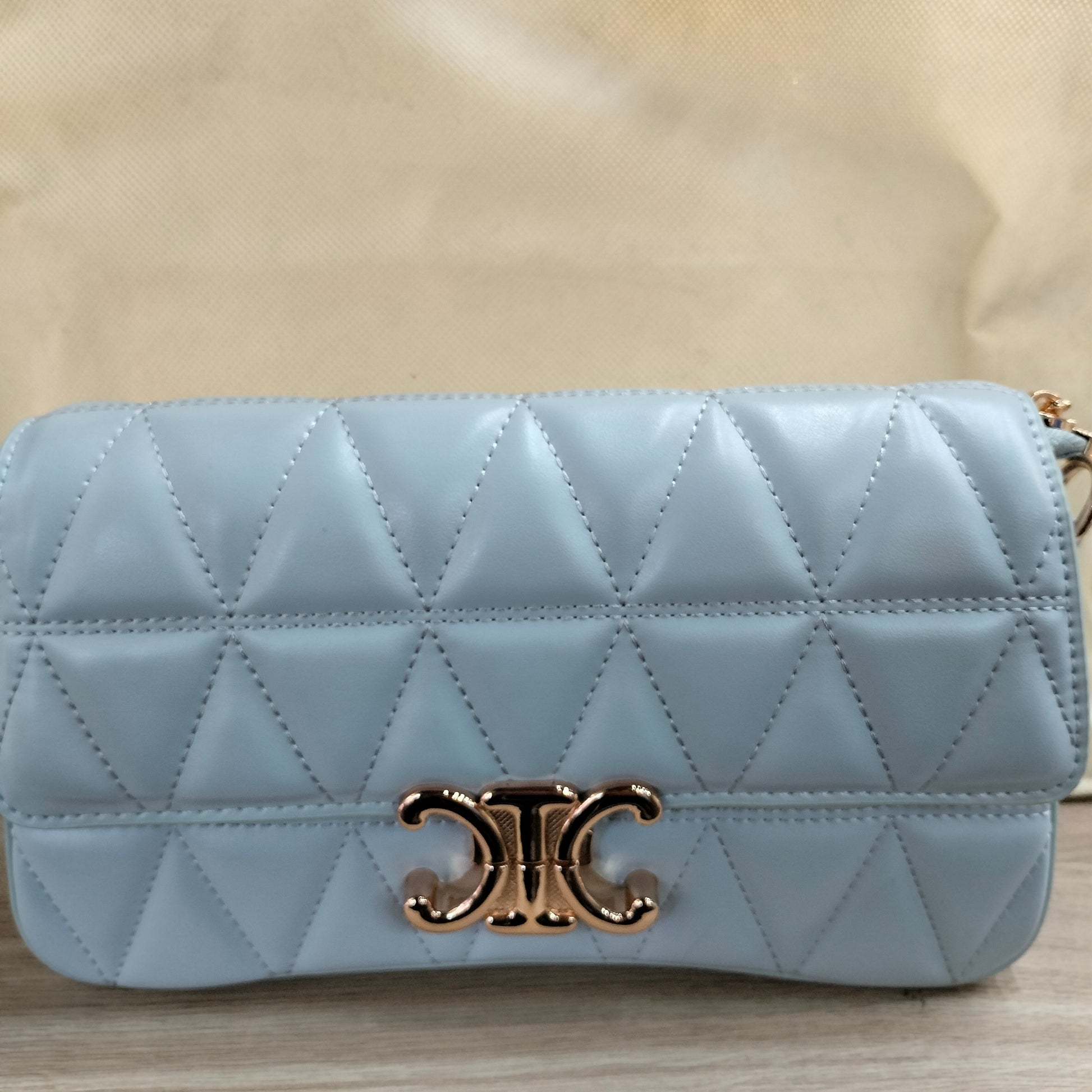 Celine Triomphe Canvas Shoulder Bag GAB-42 Easy Beauty Nepal