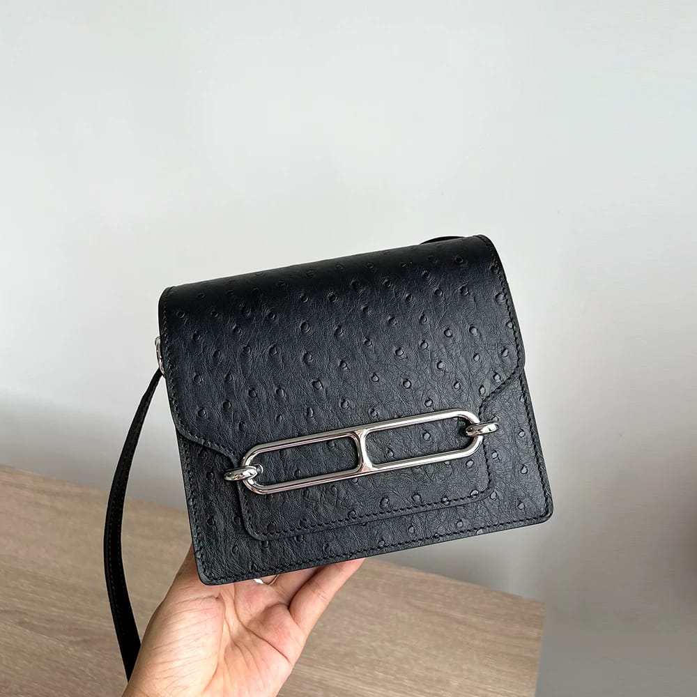 Luxury Hermès Roulis Mini Black Ladies Bag Easy Beauty Nepal