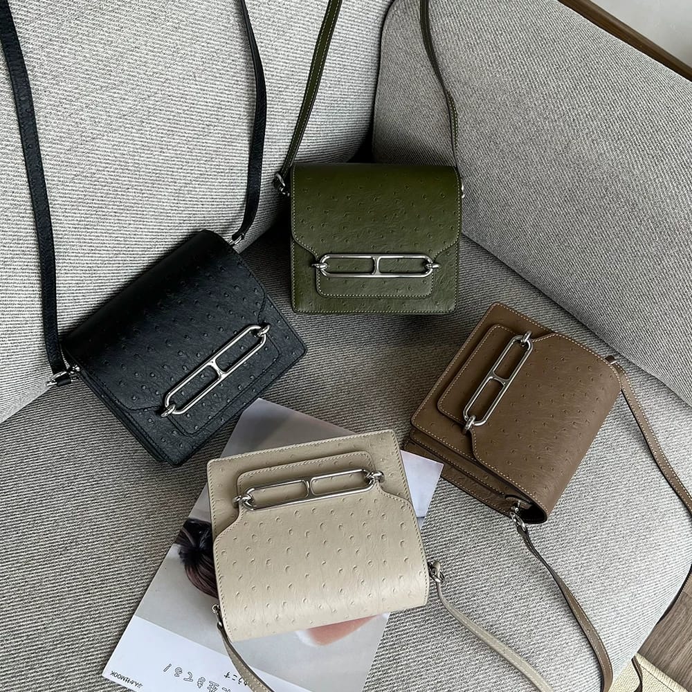 Luxury Hermès Roulis Mini Black Ladies Bag Easy Beauty Nepal