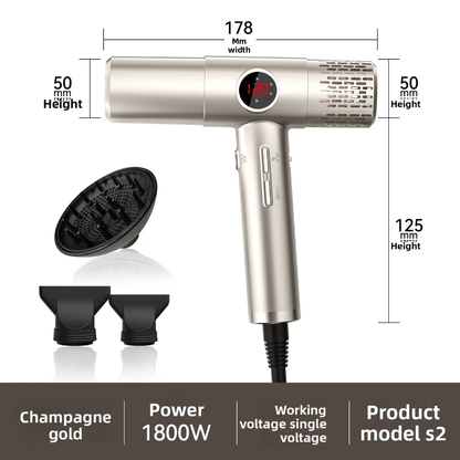 Professional Ionic High-Speed Hair Dryer Mask Queen Nepal