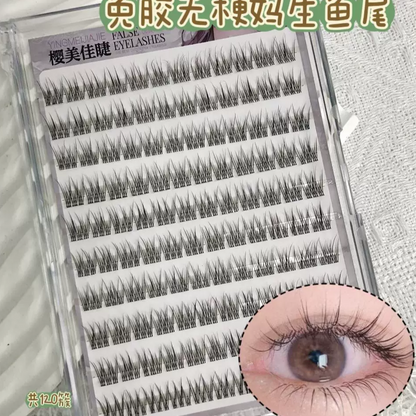 Pre Glued Stemless Fish Tail Cluster Lash (SFT) Mask Queen Nepal